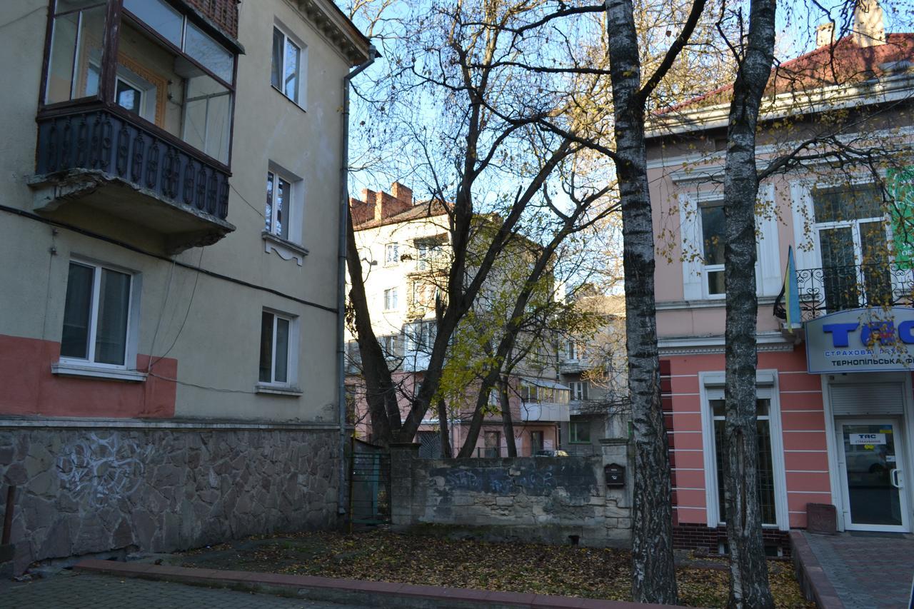 Catedra View Apartment Ternopil Eksteriør billede